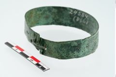 Foto von Bronzebandarmreif (NHMW-PRAE-024584)